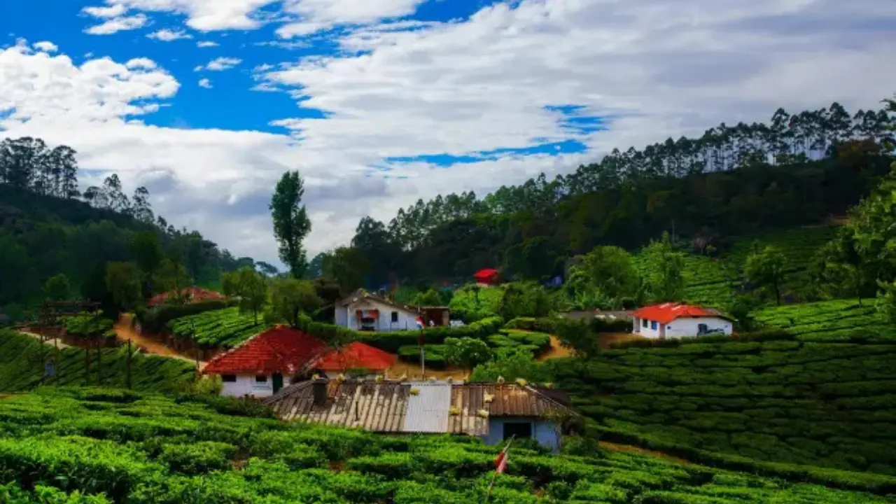 Kerala's Most Beautiful Locations